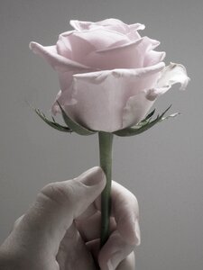 Feminine romantic bloom