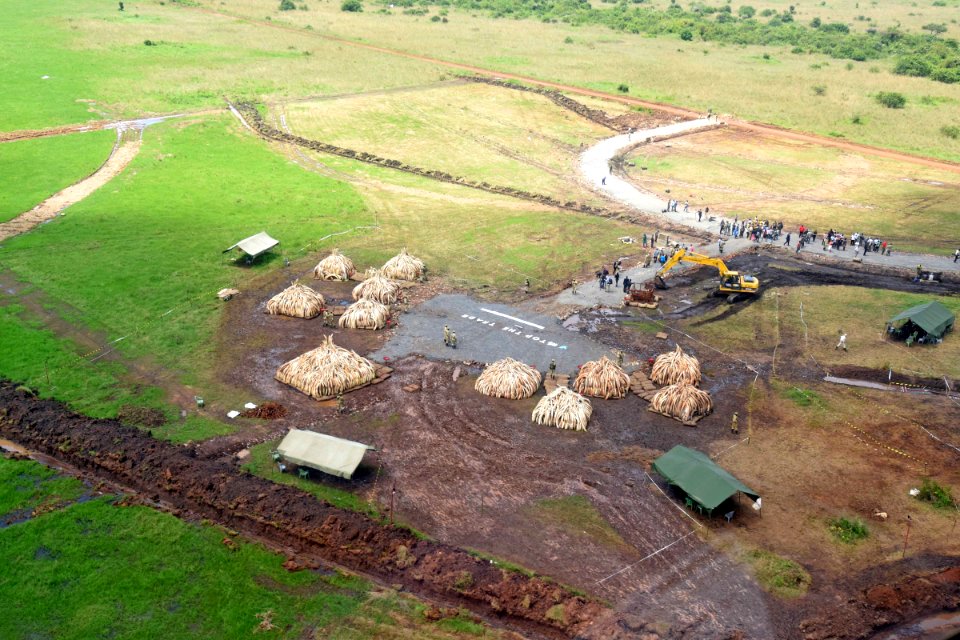 Ivory burn pyres aerial 3 (26691084185)