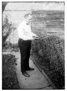 J.C. Smith (cutting hedges) LCCN2014713606