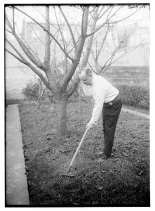 J.C. Smith (raking lawn) LCCN2014713612