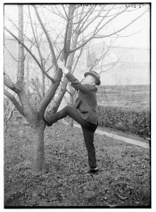 J.C. Smith (about to climb a tree) LCCN2014713605