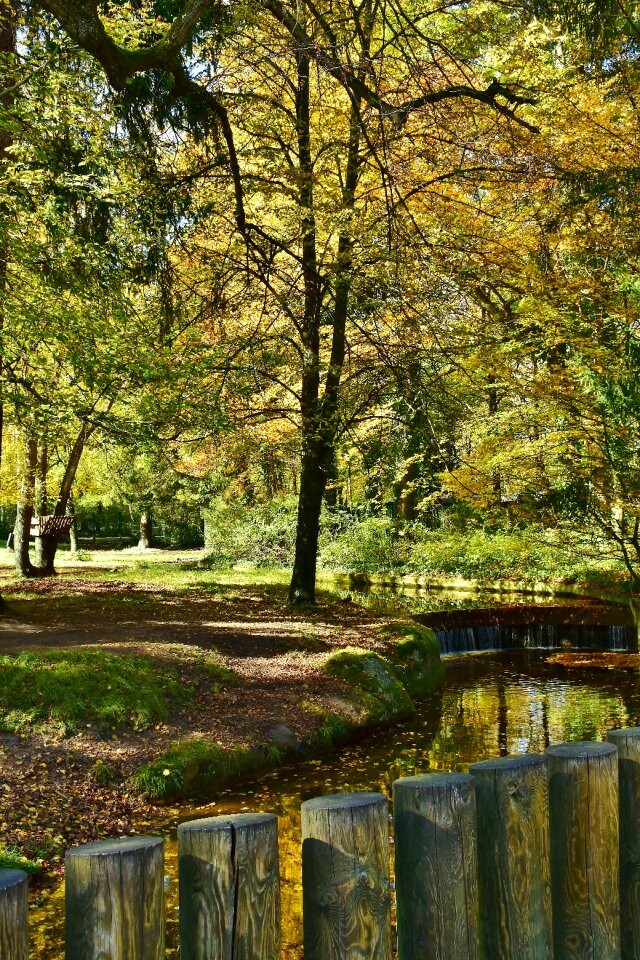 Water mirroring river
