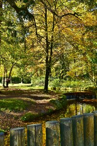 Water mirroring river photo