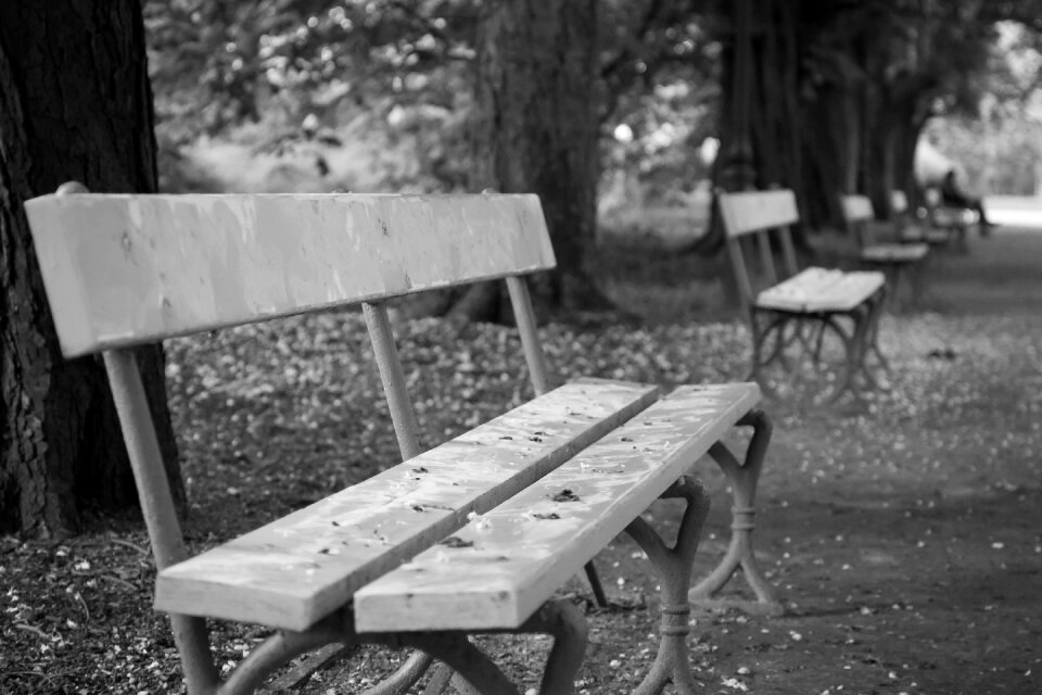 Empty autumn abandoned