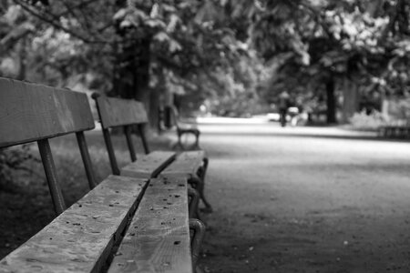Empty autumn white