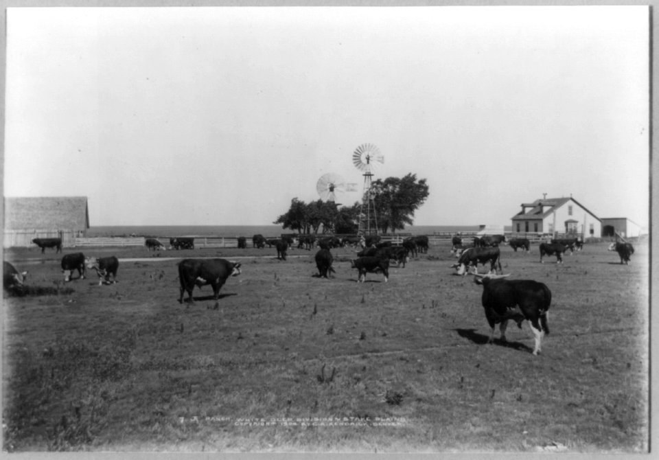 JA Ranch, White Deer Division, Stake Plains LCCN90707915