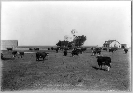 JA Ranch, White Deer Division, Stake Plains LCCN90707915