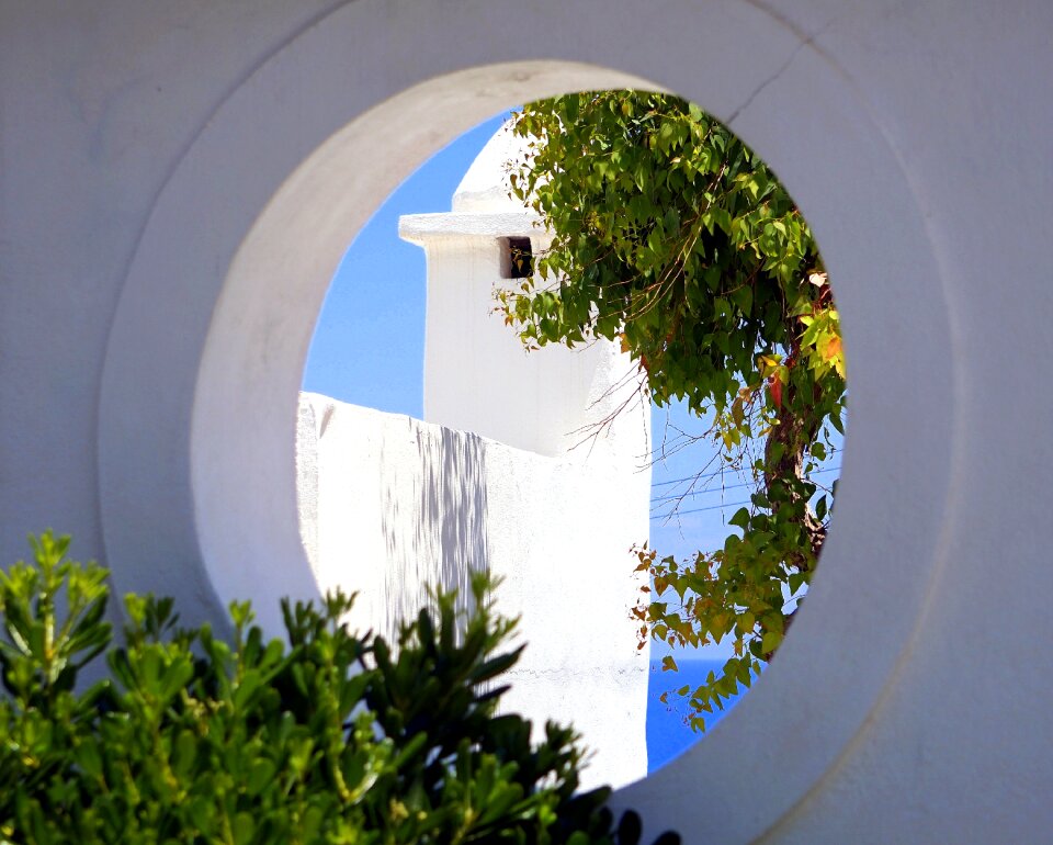 Nature tree house