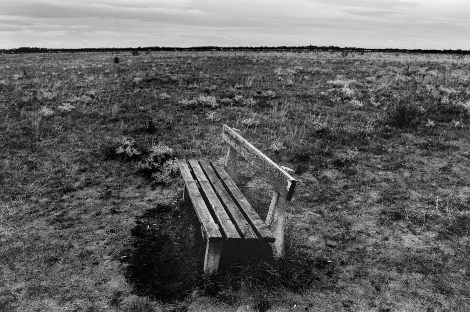 Relax field sky
