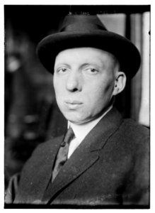 Jack Rose - the Bronx - 7th Insp. Dist. LCCN2014695842