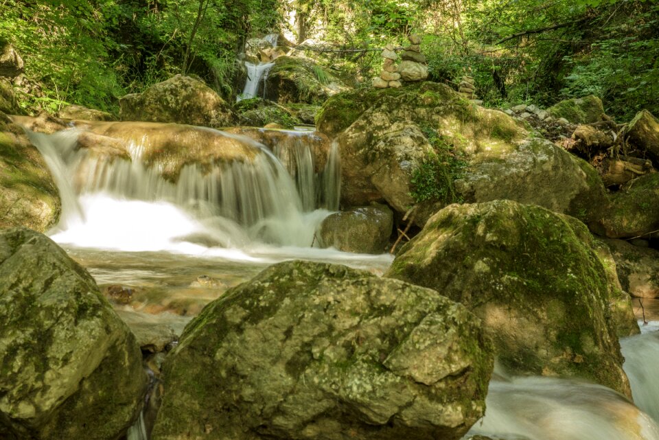 Water spray forest