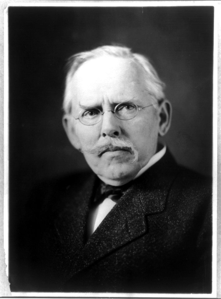 Jacob August Riis, 1849-1914, head and shoulders portrait, facing slightly left LCCN2005678010