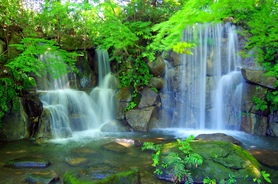 Mountain landscape woods