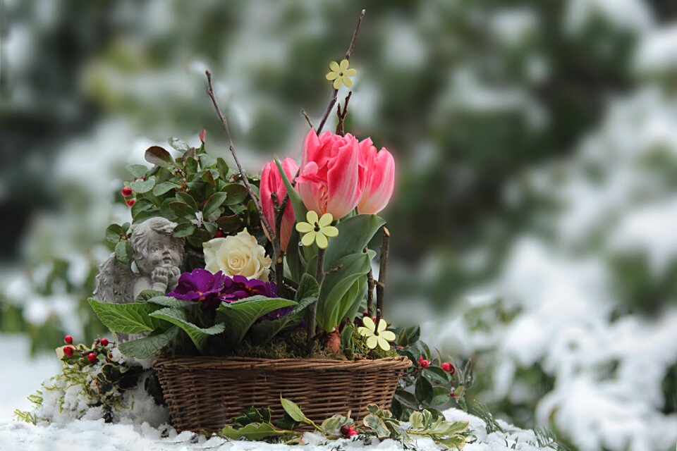 Spring flowers signs of spring greeting card