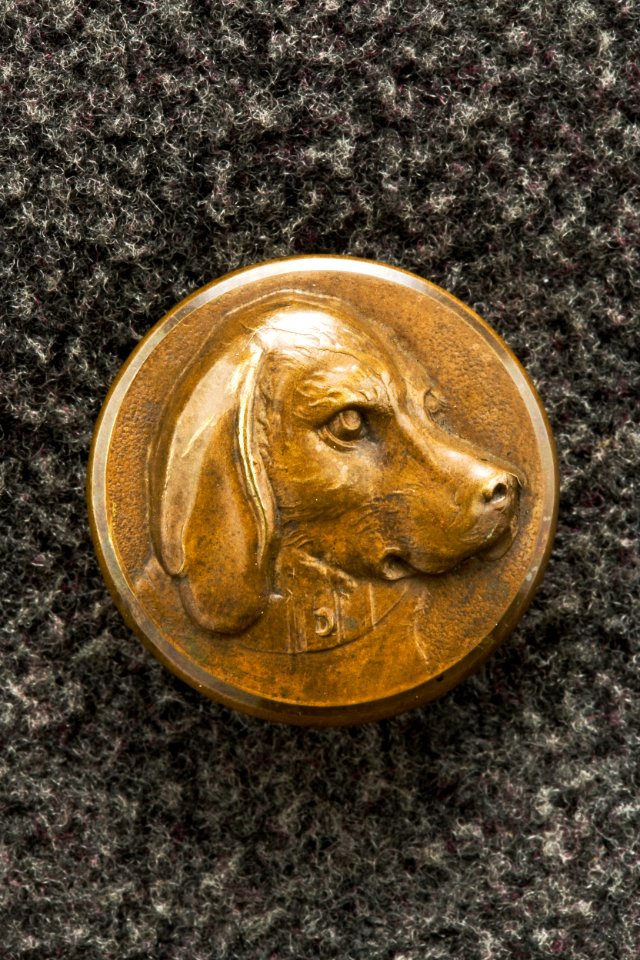 Jacka, detaljbild på knapp. Karl XV - Livrustkammaren - 86140