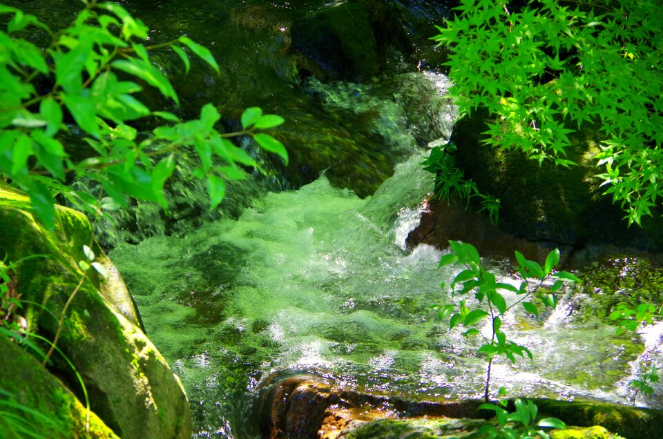 Japan waterfall natural