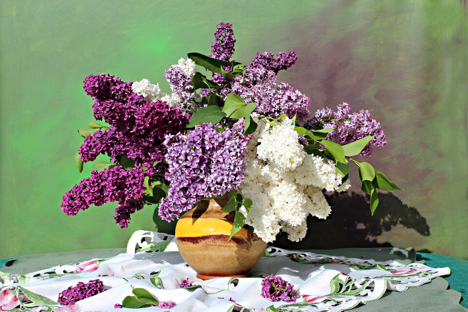 Nature ornamental shrub purple
