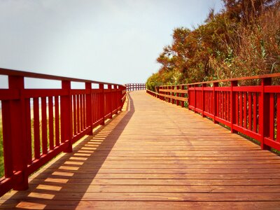 Travel summer nature
