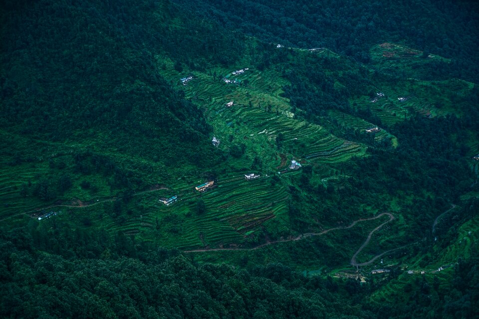Asian cereal countryside