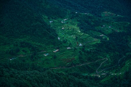 Asian cereal countryside photo