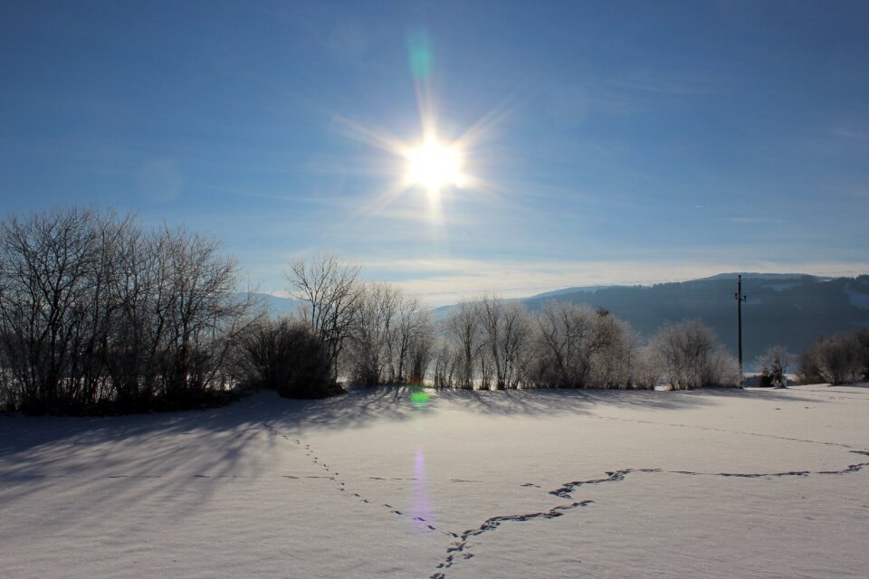 Snow frozen frost