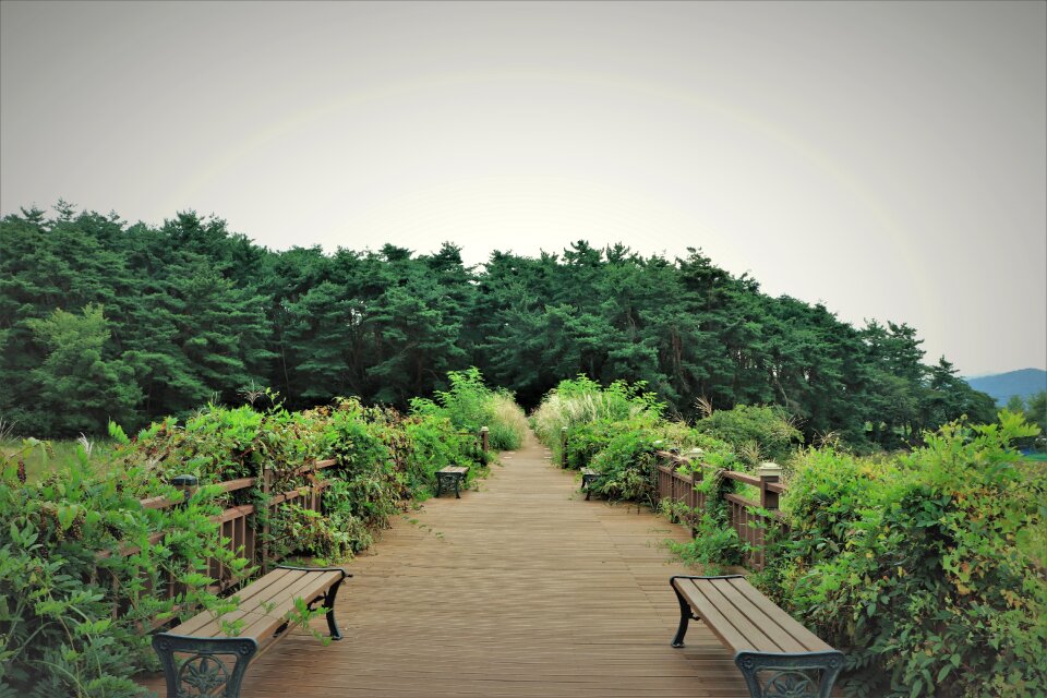 Bridges walk walking