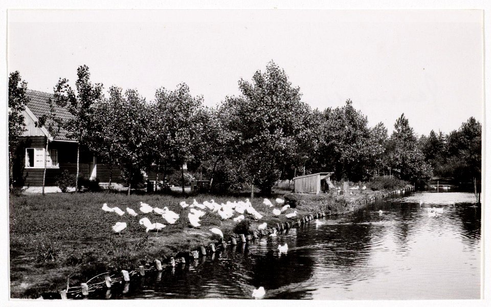 Jacobus van Eck, Afb A01634000904