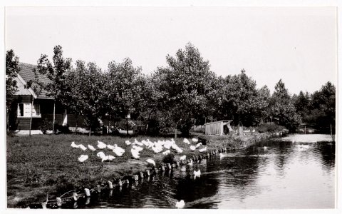 Jacobus van Eck, Afb A01634000904