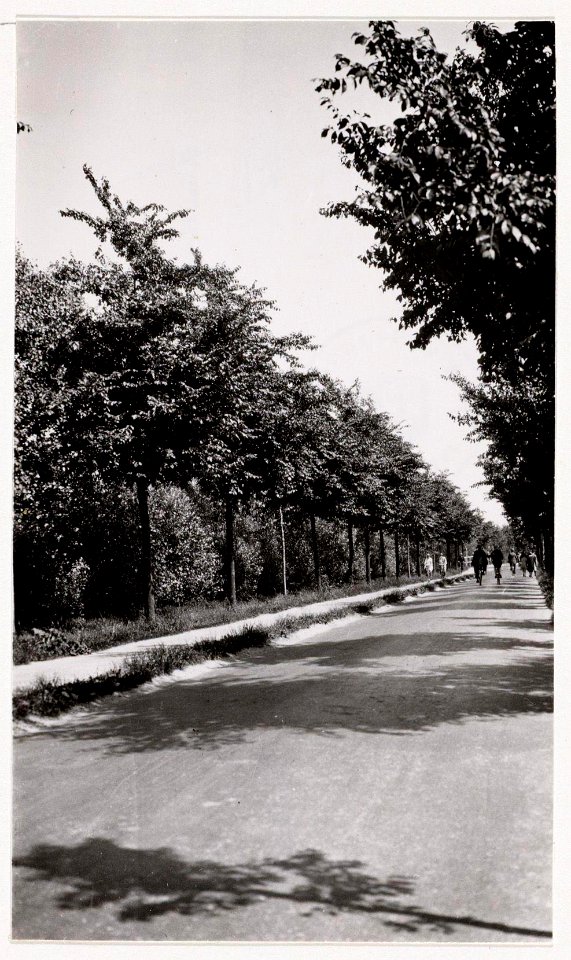 Jacobus van Eck, Afb A01634000920