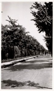 Jacobus van Eck, Afb A01634000920