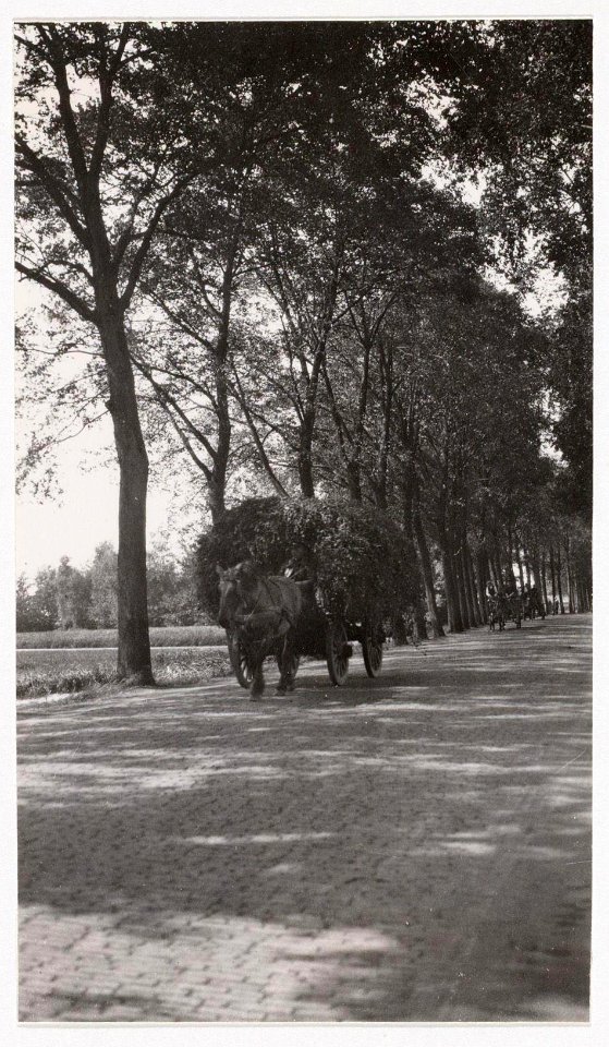 Jacobus van Eck, Afb A01634001012