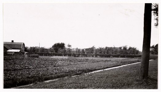 Jacobus van Eck, Afb A01634001111