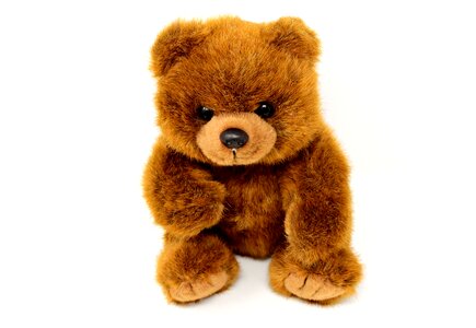 Teddy bear bears stuffed animals photo