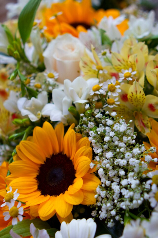 Yellow summer floral