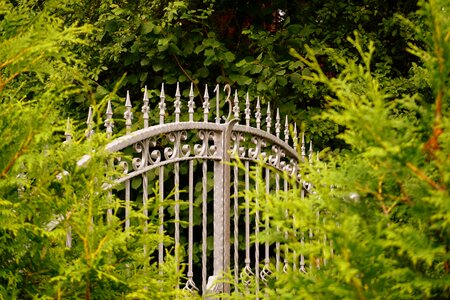Wrought iron gate mystical photo