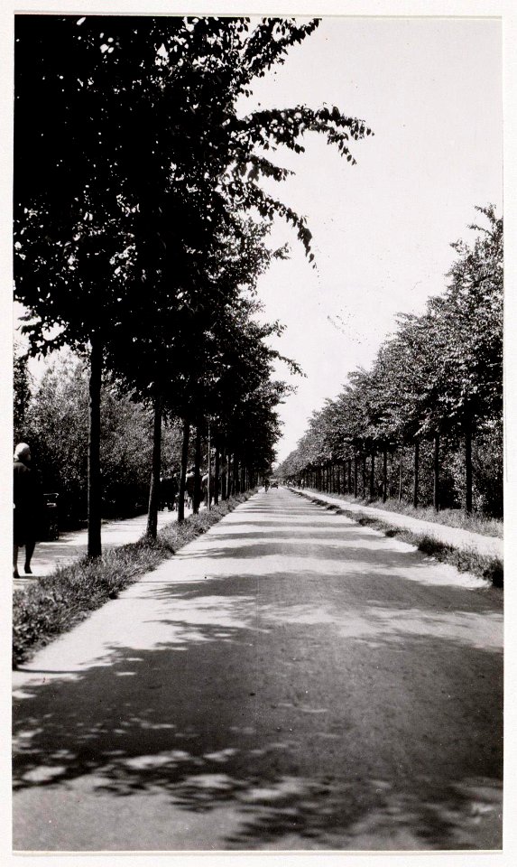 Jacobus van Eck, Afb A01634000919