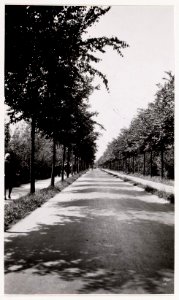 Jacobus van Eck, Afb A01634000919