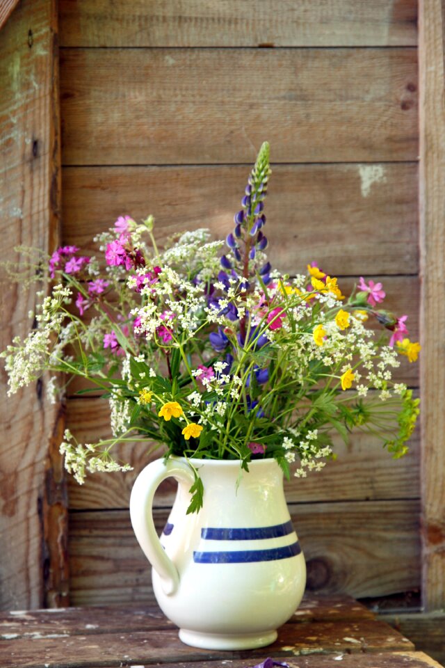 Summer flower jug flower