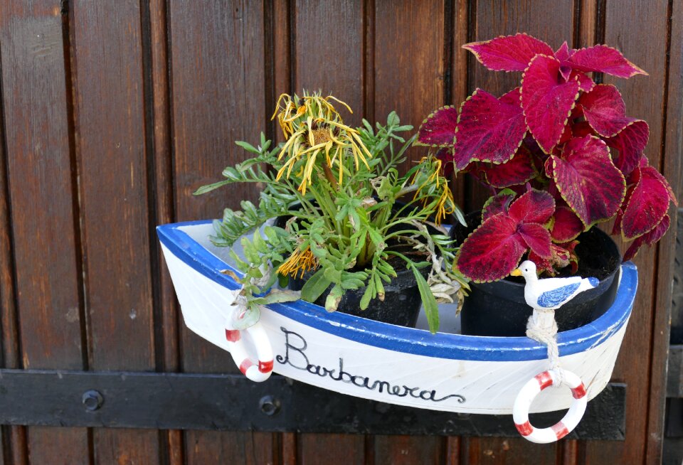 Plant florist floral arrangement