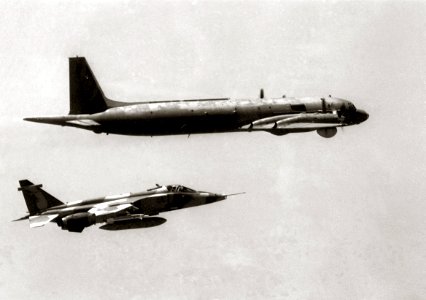 JaguarSO1 IL-38 1987