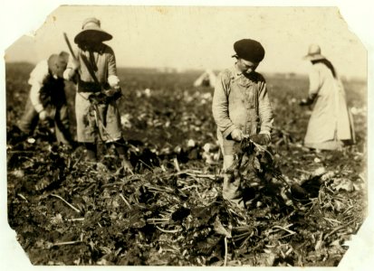 Jake is ten yrs old, Marie is 13, but neither could spell own name. Scheler family, near Sterling. The boy said he had recently stuck the hook into his knee while topping. Six in the family, LOC nclc.00352