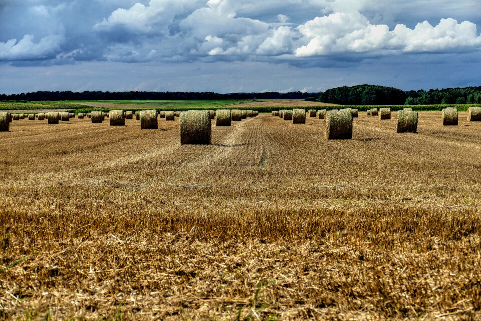 Agriculture clouds cloud cover