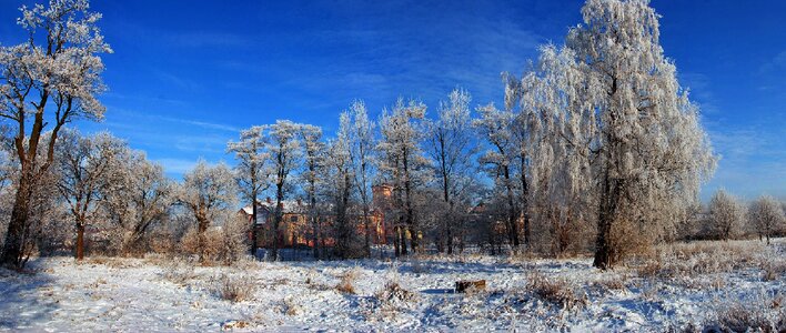 Snow frost landscape