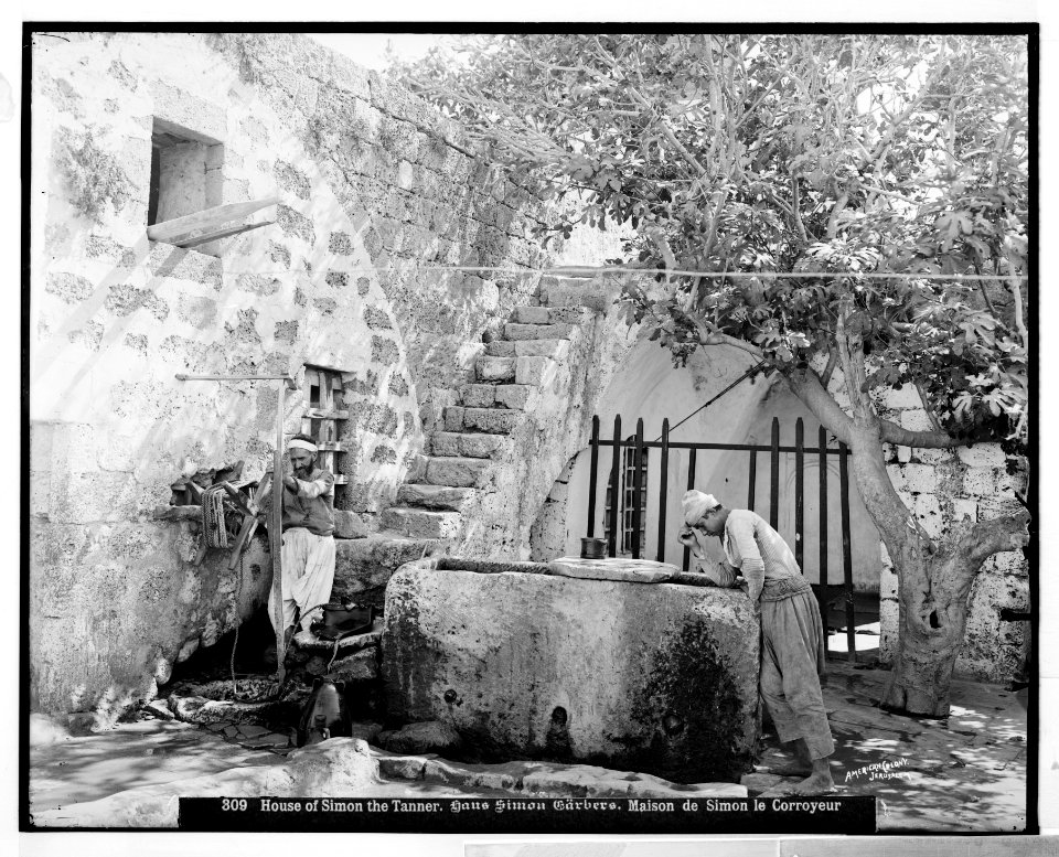 Jaffa (Joppa) and environs. House of Simon the Tanner LOC matpc.06522