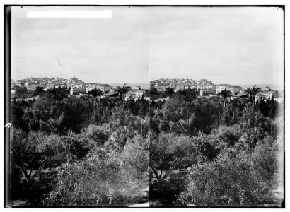 Jaffa (Joppa) and environs. Jaffa from Hotel Jerusalem LOC matpc.00830