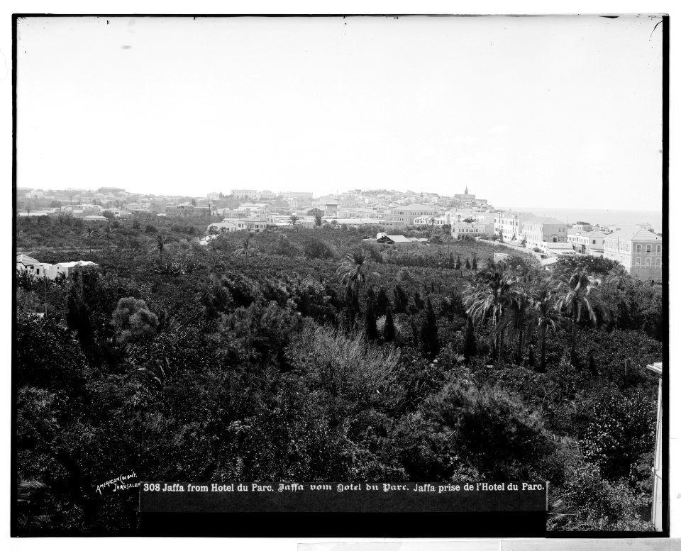Jaffa (Joppa) and environs. Jaffa from the Hotel du Parc LOC matpc.06521