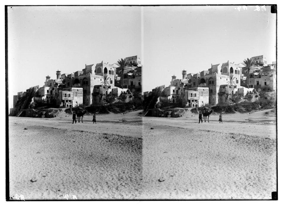 Jaffa (Joppa) and environs. Jaffa from the south beach LOC matpc.04981