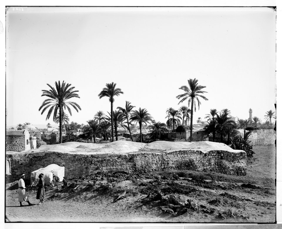 Jaffa (Joppa) and environs. Lydda (Lod), reputed home of St. George and the dragon LOC matpc.06527