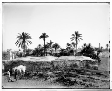 Jaffa (Joppa) and environs. Lydda (Lod), reputed home of St. George and the dragon LOC matpc.06527