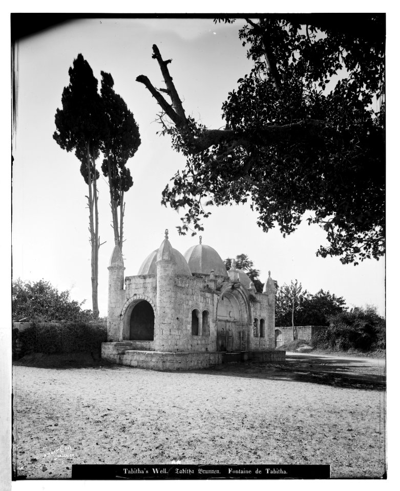 Jaffa (Joppa) and environs. Tabitha's Well LOC matpc.06525